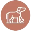 Desarrollo pet friendly